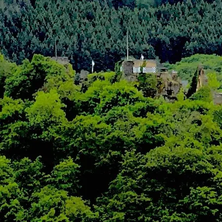 Διαμέρισμα Wohnen Direkt Am Moselstrand Bernkastel-Kues