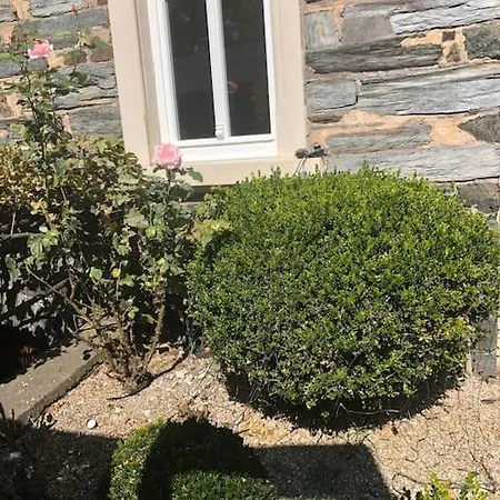 Wohnen Direkt Am Moselstrand Verbandsgemeinde Bernkastel-Kues