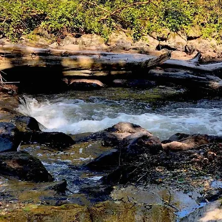 Wohnen Direkt Am Moselstrand Appartement Verbandsgemeinde Bernkastel-Kues