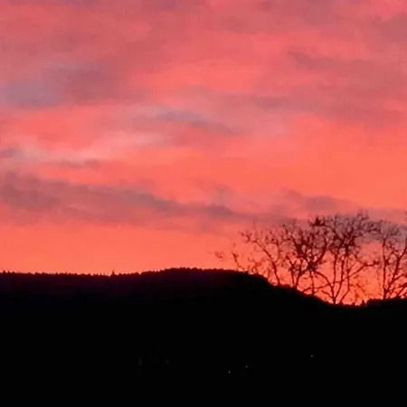 Wohnen Direkt Am Moselstrand * Bernkastel-Kues