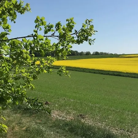 Appartement Wohnen Direkt Am Moselstrand *