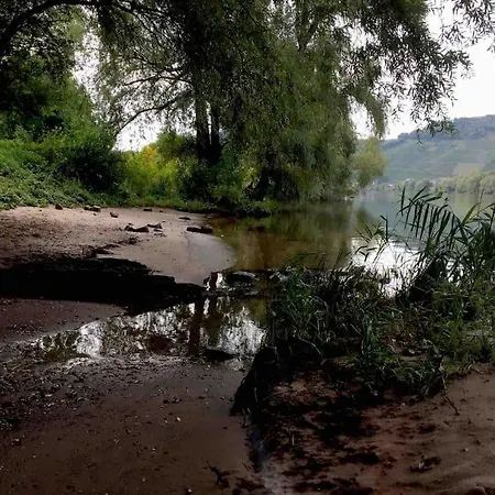 Wohnen Direkt Am Moselstrand Bernkastel-Kues