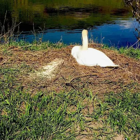 Appartement Wohnen Direkt Am Moselstrand Verbandsgemeinde Bernkastel-Kues
