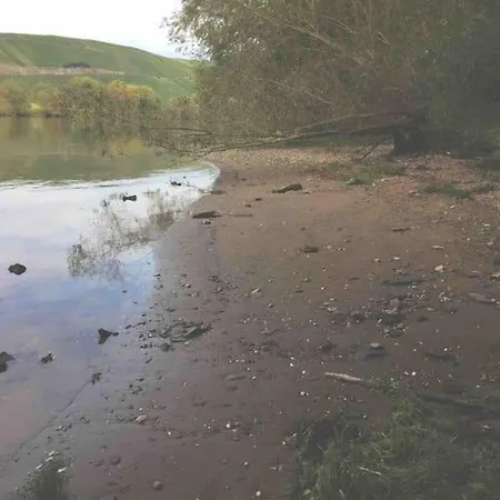 Wohnen Direkt Am Moselstrand * Bernkastel-Kues