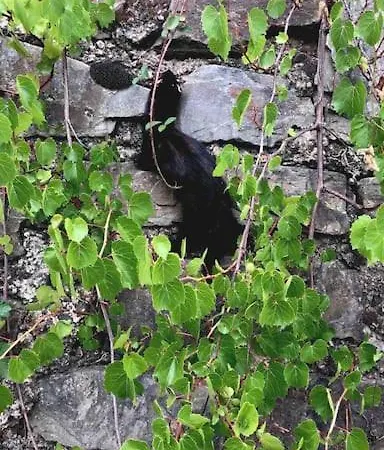 Wohnen Direkt Am Moselstrand Appartement