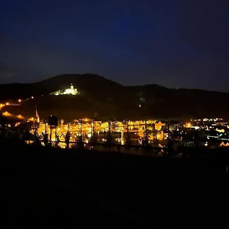 Wohnen Direkt Am Moselstrand *