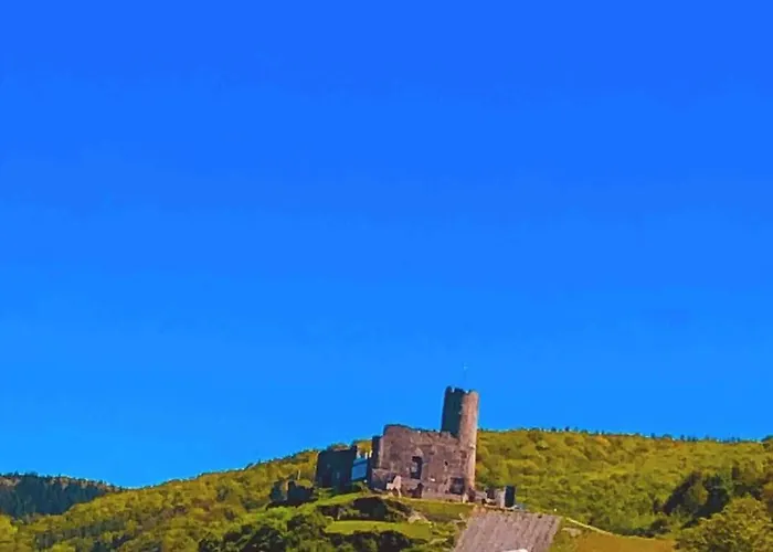 Wohnen Direkt Am Moselstrand *