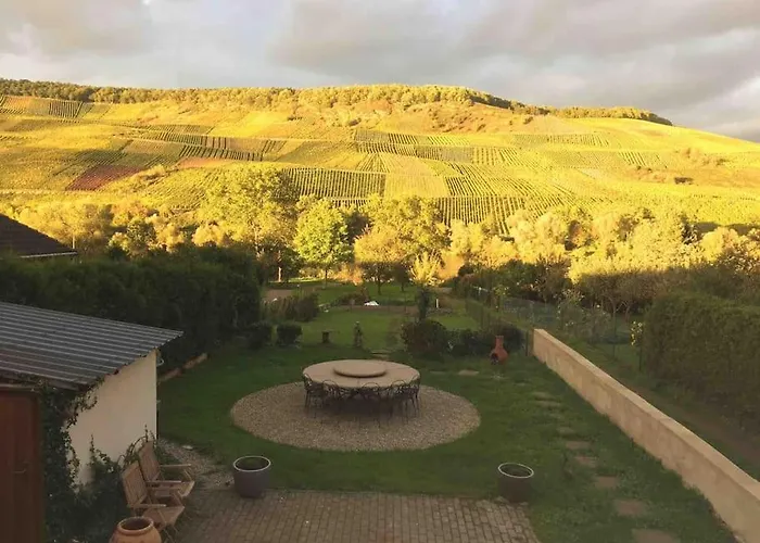 Wohnen Direkt Am Moselstrand דירה ברנקסטל - קיס