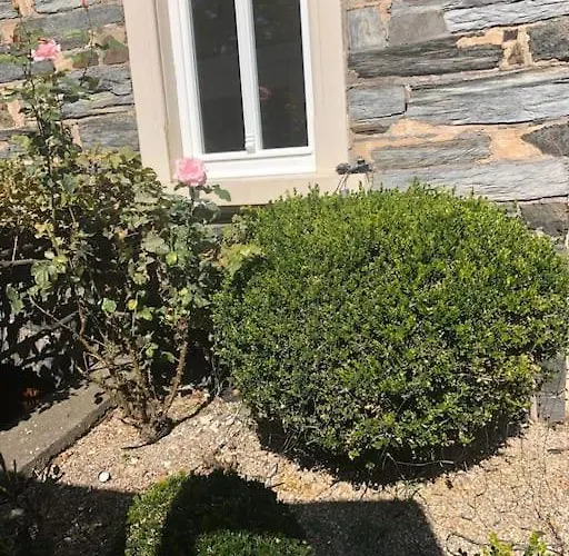 Wohnen Direkt Am Moselstrand ברנקסטל - קיס