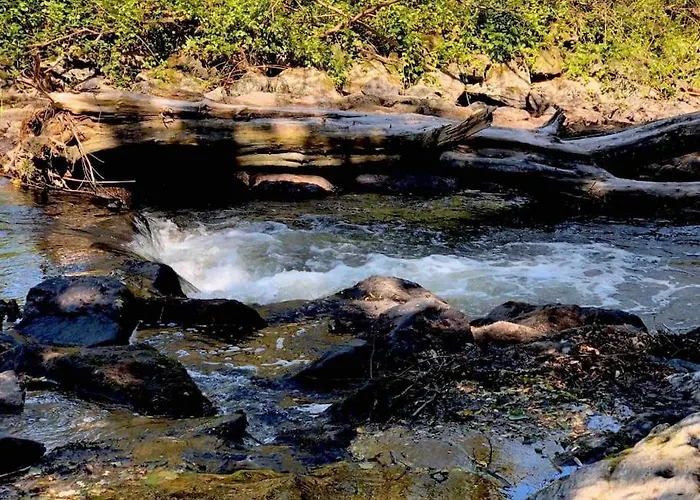 Wohnen Direkt Am Moselstrand דירה ברנקסטל - קיס
