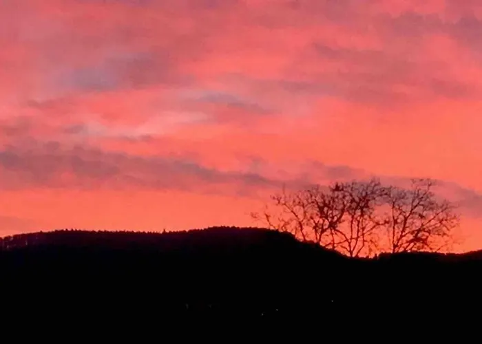 Wohnen Direkt Am Moselstrand * ברנקסטל - קיס