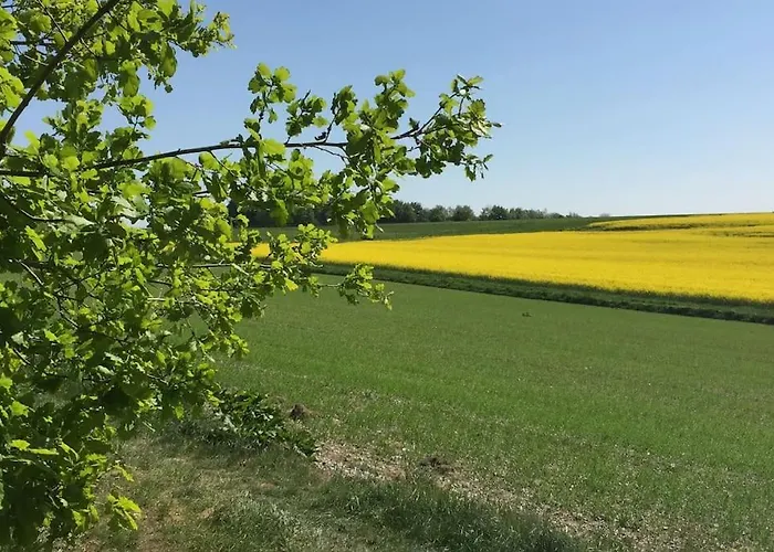דירה Wohnen Direkt Am Moselstrand *