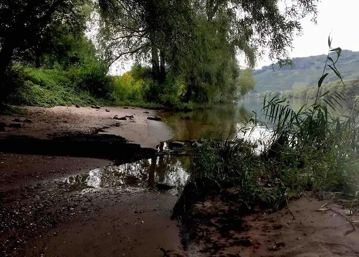 Wohnen Direkt Am Moselstrand ברנקסטל - קיס