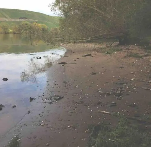Wohnen Direkt Am Moselstrand * ברנקסטל - קיס