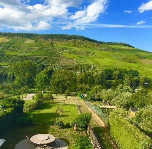 Wohnen Direkt Am Moselstrand דירה *