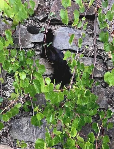 Wohnen Direkt Am Moselstrand דירה