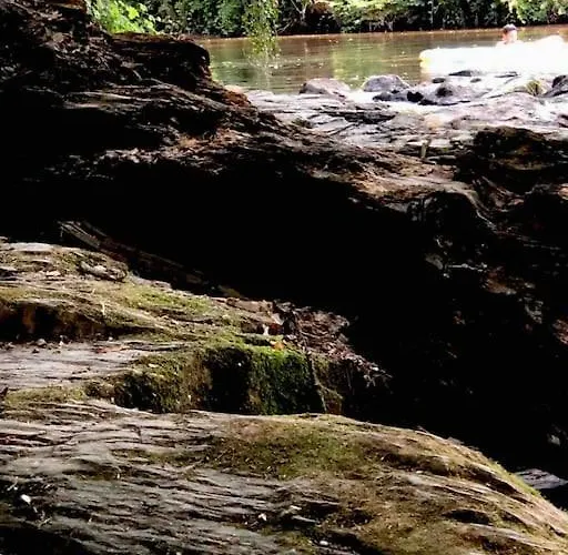 Wohnen Direkt Am Moselstrand דירה ברנקסטל - קיס